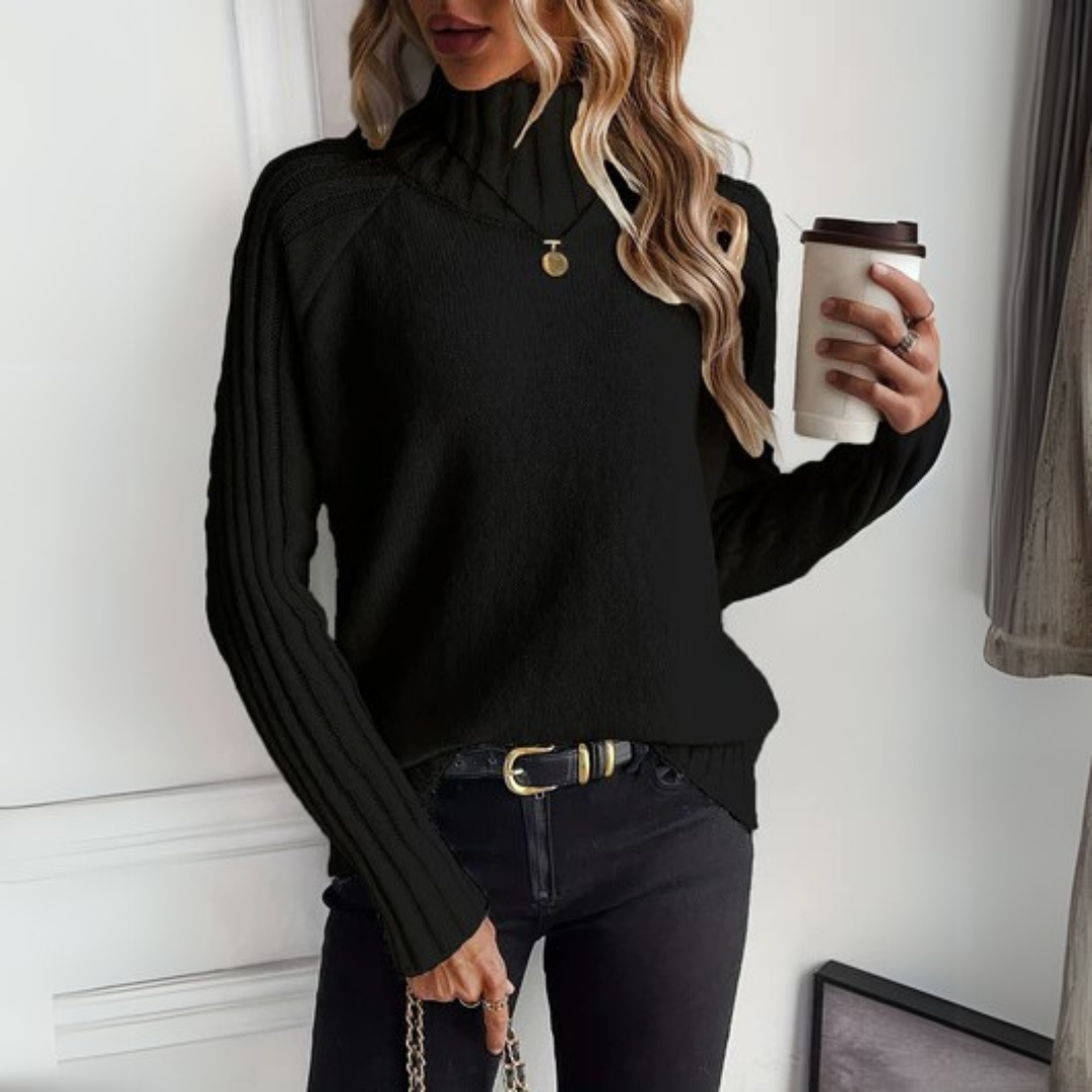 Women's Cosy Ribbed Turtleneck Knit Sweater