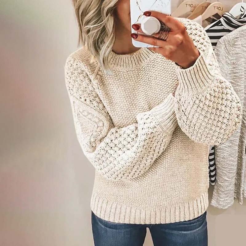 Women's Stylish Crewneck Knit Sweater