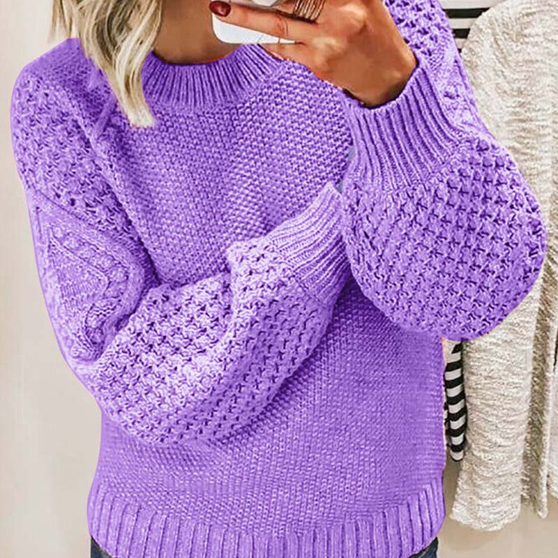 Women's Stylish Crewneck Knit Sweater