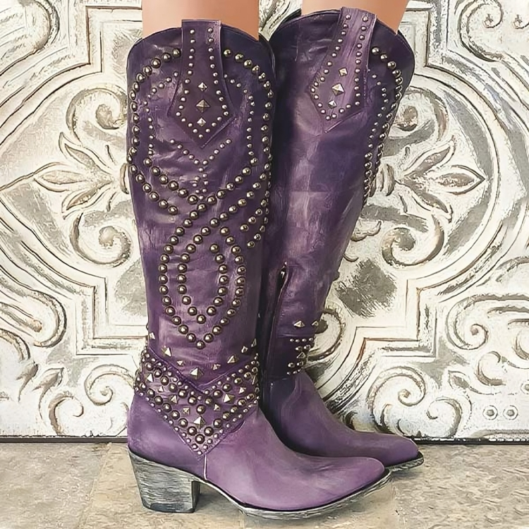 Women's Stylish Heeled Knee High Cowboy Boots with Pointed Toe