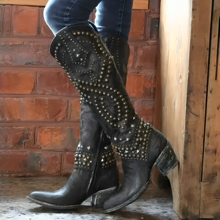 Women's Stylish Heeled Knee High Cowboy Boots with Pointed Toe