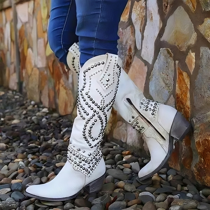 Women's Stylish Heeled Knee High Cowboy Boots with Pointed Toe