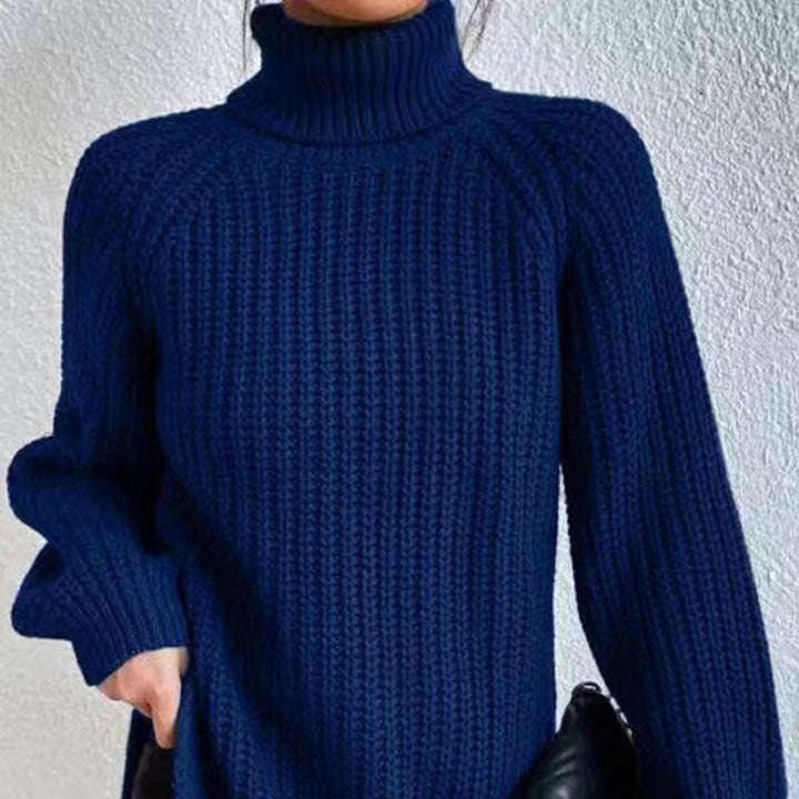 Women's Beautiful Chunky Knit Turtleneck Sweater