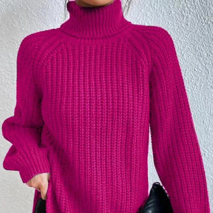 Women's Beautiful Chunky Knit Turtleneck Sweater