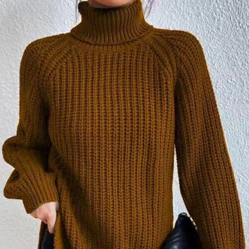 Women's Beautiful Chunky Knit Turtleneck Sweater
