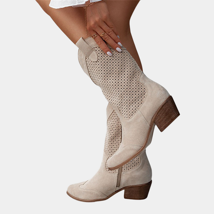 Women's Stylish Brown Suede Pointed Toe Western Boots